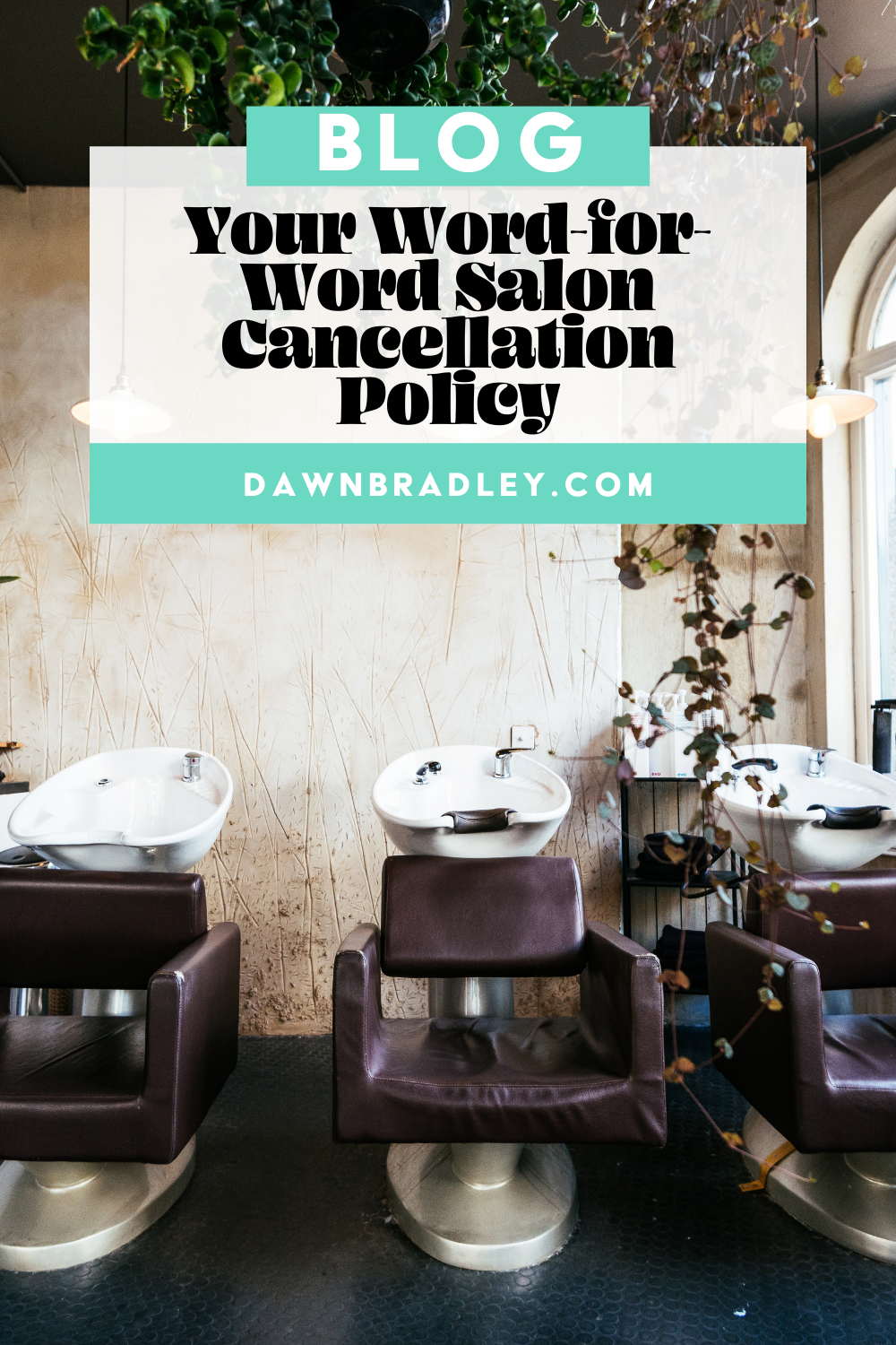 An earthy salon with brown chairs in front of sinks and a textured cream wall. There are green plants hanging from the ceiling and draping down over the sinks. Text overlay reads "Your word-for-word salon cancellation policy"